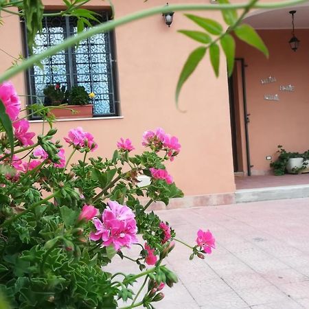 Bed and Breakfast La Casa Dei Sogni Syrakuzy Zewnętrze zdjęcie