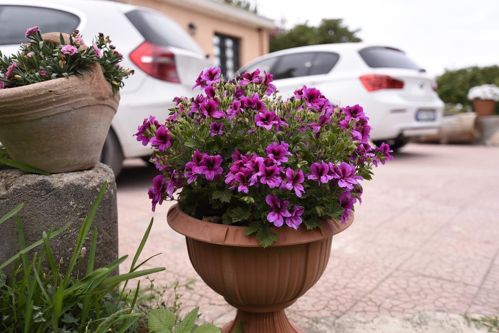 Bed and Breakfast La Casa Dei Sogni Syrakuzy Zewnętrze zdjęcie